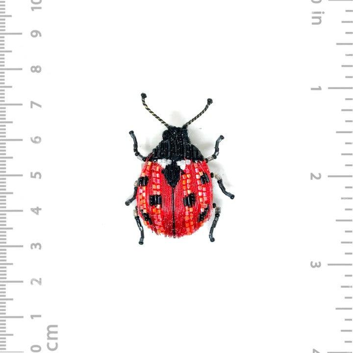 Marienkäfer Brosche Trovelore